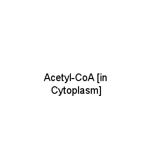 Acetyl-CoA [in Cytoplasm]